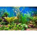 Aquarium Background Various Underwater Grass Plants Aquarium Backdrop Vivid and Fresh Green Aquatic Plants Stone River Bed and Dead Wood Purple Stone Fish Tank Background 24x12in - color: Seagrass Green, size: 24(W)x12(H)inches/ 60(W)*30cm(H)