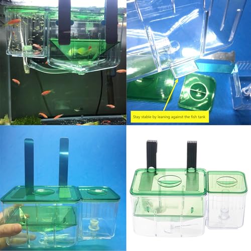 Floating Breeder Box for Fish Tanks for Isolating Sick or Hatching Eggs Breeding Chamber Reproduction Aquaculture Isolation Box