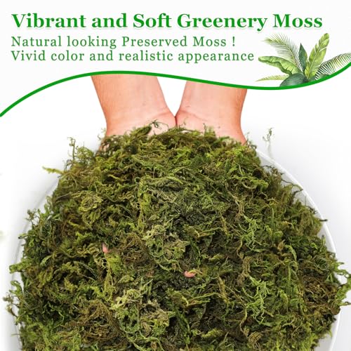 Riare 7OZ Artificial Fake Moss for Fake Plants Indoor- Premium Faux Craft Moss for Potted Plant, Fresh Forest Green Moss for Hamsters Micro-Landscape Terrariums Centerpieces Decor - color: 7 Oz