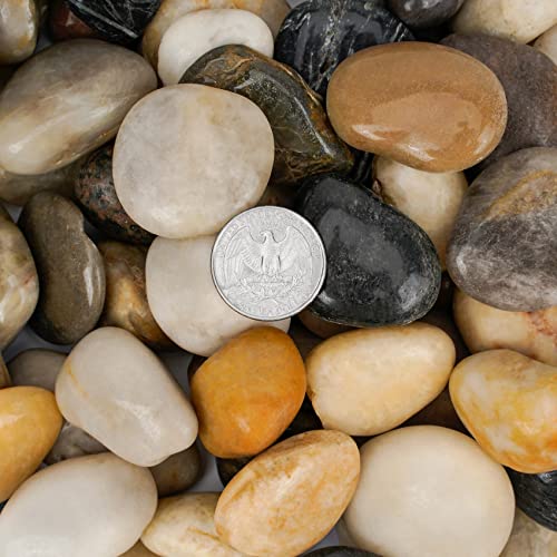 Natural Polished Pebbles, 1 Inch Decorative Mixed Color Stones Aquarium Gravel River Rocks for Vase, Succulents, Landscaping and Home Decor (5-lb Bag) - color: Mixed Color, size: 1 inch, 5 lb