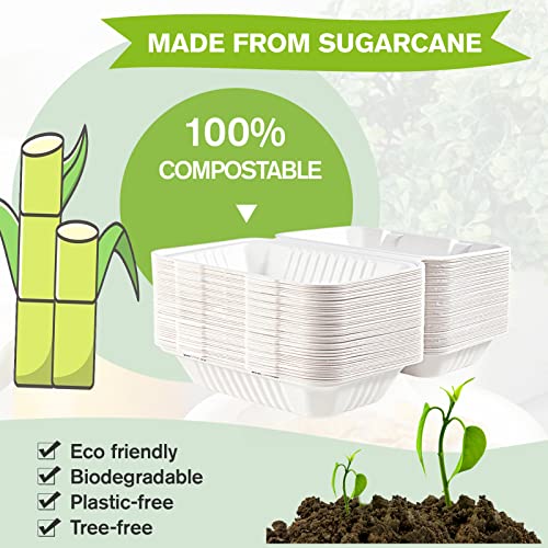 ECOLipak Clamshell Take Out Food Containers, 9 * 6 inch 75-Pack Disposable To Go Containers, To Go Boxes for Food Salad - color: 9*6 in, 1-Compartment,75Pack