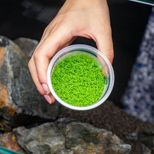 SubstrateSource Live Plant - Dwarf Baby Tears Hemianthus Callitrichoides Live Aquarium Plant Tissue Culture Cup - 100% Snail Free in Vitro (Dwarf Baby Tears) - color: Dwarf Baby Tears Hemianthus Callitrichoides