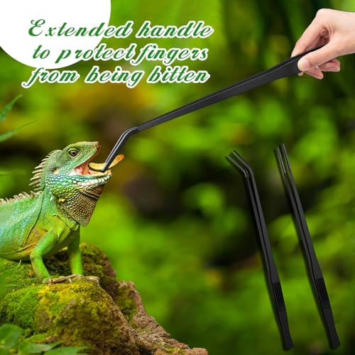 Lasnten 2 Pcs Extra Long Stainless Steel Reptile Feeding Tongs with Rubber Tip 18.5 Inch, 18.9 Inch Bearded Dragon Aquarium Straight and Curved Long Tweezer Terrarium Feeder Tool for Tank(Black) - color: Black, size: 18.5 Inch, 18.9 Inch