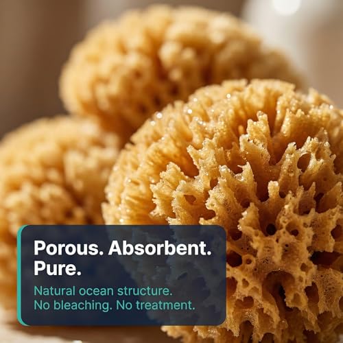 Hermit Crab- All Natural Sea Sponges - 5 Pack Unbleached, Provides Nutrients, Safer Drinking, Helps Maintain Habitat Tank Humidity and Aquarium Decor, Premium Care for Your Crabs