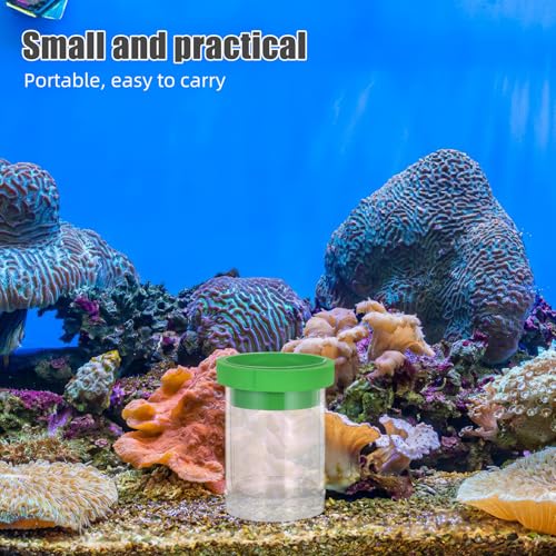 BESPORTBLE Floating Fish Breeding Isolation Box with Mesh Divider, Small Aquarium Guppy Breeding Hatchery Incubator Tank for Fish Egg Hatching and Nursery, Green Plastic Pet Aquarium