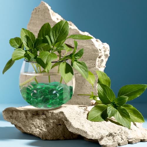 5lb Green Glass Marbles for Vase, 500 pcs Green Flat Glass Beads, Decorative Pebbles for Vase Fillers, Fish Tank, Plants, Flower Pots, Fountains, Crafts, Aquarium Rocks and Home Decor - color: Green, size: 5LB