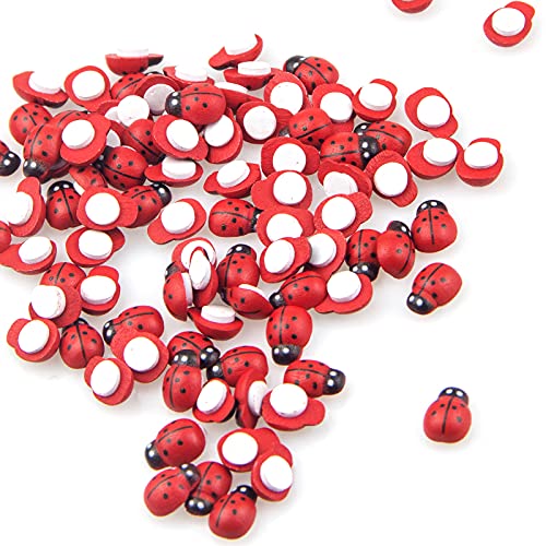 Fairy Garden Accessories Miniatures Sculptures Statues,Yard Decor for Outside Gnomes Outdoor Decor for Patio Zen - size: Lady bug