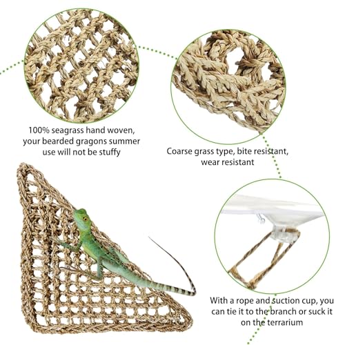 PINVNBY 14 PCS Reptile Plants Sets, Bearded Dragon Hammock, Terrarium Hanging Plant Vines Artificial Leaves, Reptile Habitat Climbing Decorations for Chameleons, Lizards, Geckos, Snakes - color: 14 PCS