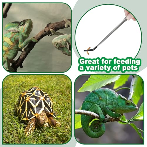 2PCS Stainless Steel Reptile Feeding Tongs with Rubber Tip, 10.6" Straight and Curved Long Tweezers Terrarium Aquascape Tools Feeder for Lizards, Bearded Dragon Snake Enclosure Tank Accessories