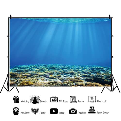 Renaiss 6x4ft Blue Underwater World Backdrop Deep Undersea Sunlight Under The Sea Water Sun Ray Ocean Aquarium Photography Background for Baby Shower Birthday Party Decor Photo Studio Props - color: WSNWH17698, size: 6x4ft