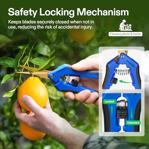 VIVOSUN Curved Gardening Scissors 6.5 Inch Hand Pruner Shear with Titanium Coated Blades 1-Pack - style: Blue Curved Blade