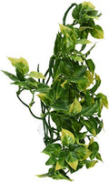 Exo Terra Plastic Terrarium Plant, Medium, Amapallo - color: Blue, size: Medium