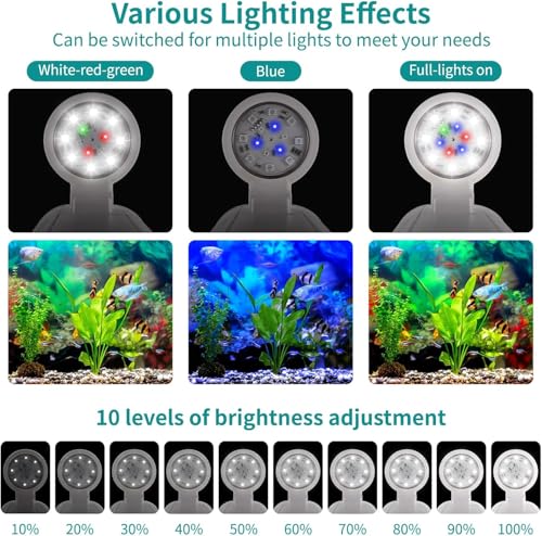 Fish Tank Night Light, 3 Gallon Fish Tank with Filter and Light, Self-Cleaning Desktop Aquarium Starter Kit & LED Lamp, 360 View for Small Fish, Kids Room & Home Decor (7Color)