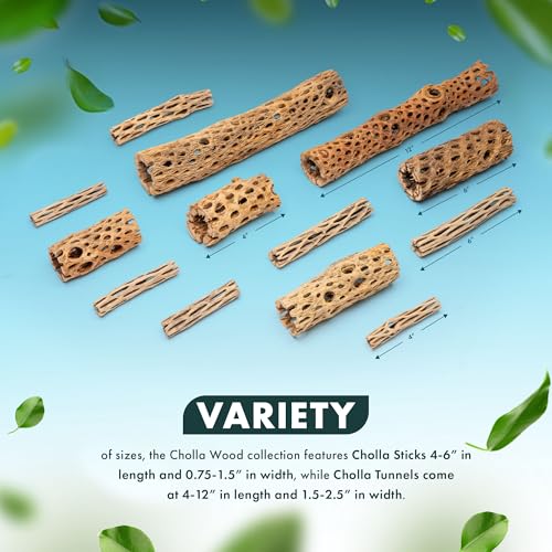 SubstrateSource Natural Cholla Wood - Driftwood for Aquariums, Air Plant Base, Hermit Crab and Freshwater Shrimp Hideout, Fish Tank Decoration, Chinchilla Chews, Reptile Habitat Wood - 4 Inch, 3pc - size: 4 Inch (Pack of 3)