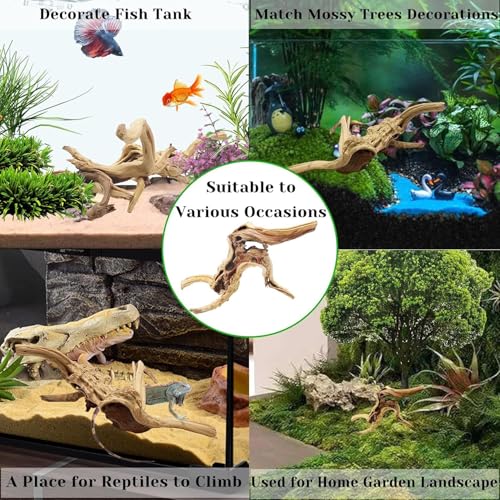 Tfwadmx Natural Driftwood for Aquarium, 11-13 inch Reptile Branches Terrarium Wood Aquarium Trunk Driftwood Tree Fish Tank Log Decoration Pack of 2 - size: Spiderwood（7-13 inch pack of 2）