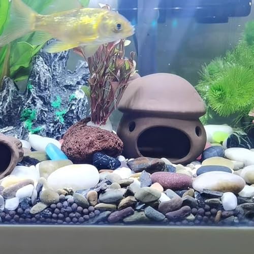 Ceramic Mushroom House Aquarium Decorations, Cichlid Caves Gold Fish House for Betta Goldfishes Cichlid to Rest, Breed, Hiding, Fish Tank Accessories - Brown - color: Brown