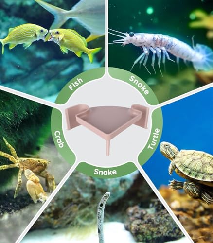 Aquarium Cave Hideout with Viewing Window - 2 Hole Corner Fish Tank Decoration for Pleco, Cory Catfish, Kuhli Loach, Shrimp & Betta Fish - Safe Underwater Tunnel for Bottom Dwellers - color: Two Hole Corner Cave Sand Large