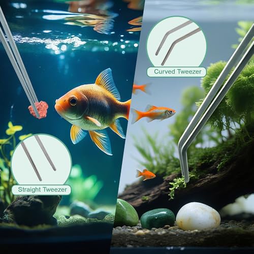 Syn-zer 2PCS Stainless Steel Reptile Feeding Tongs, 10.6 inch Straight and Curved Tweezers for Aquarium, Terrarium & Crafts Bearded Dragon Snake Tank Accessories, Planted Tank Tools Feeder for Lizards