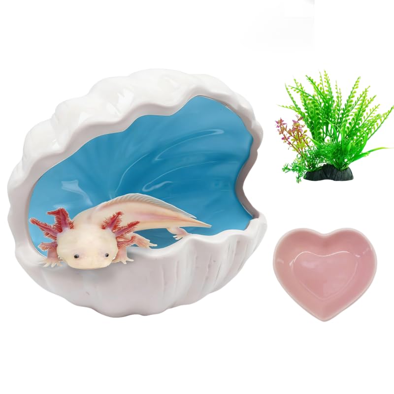 3Pcs Axolotl Tank Accessories, Hide Shell Shape Ceramic Fish Tank Cave, Silk Plants, Feeder Bowl, Fish Tank Decor Shelter for Small Pet Frog Fish Betta (Extra Large, Blue)