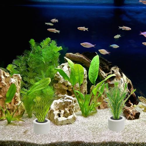 12 PCS Aquarium Plant Weights for Fish Tank, Ceramic Ring with Black Sponge, Aquatic Plants Fixed Ring Anti-Floating Aquarium Landscape Decoration