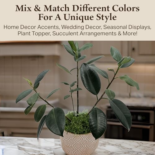 Preserved Spanish Moss - Decorative Moss - Dried for Crafts, Home Decor, Art, Design & DIY Projects - for Indoor Use - Green Apple - Medium Size - color: Green Apple, size: Medium