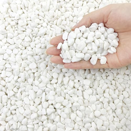 FANTIAN 2 lbs White River Rocks for Plants, 3/8 Inch Gravel Pebbles for Plants. Decorative White Stones for Succulents, Cactus, Vase and Outdoor Garden Landscaping - color: White Gravel