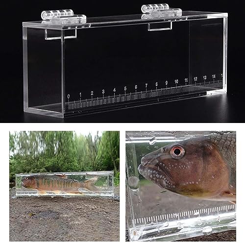 Acrylic for Fishing Photo Tank, L - size: Large