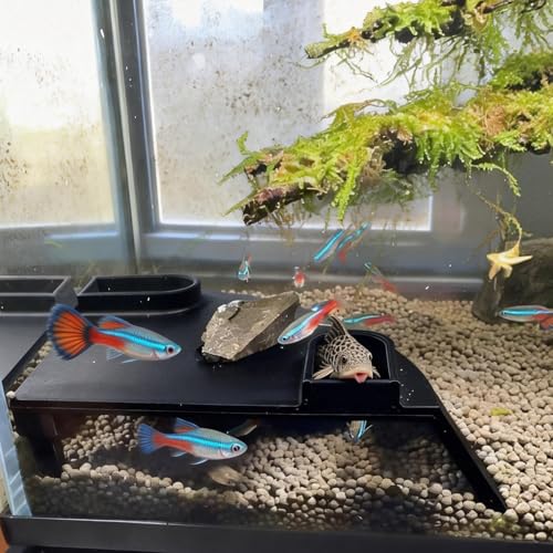 Aquarium Underground Cave Decor: Fish Tank Corne Tunnel Hideout for Shrimp & Betta - Viewing Fish Under Gravel Cave Hide - for Fish Tank Creative Decor Enthusiast（White (Black) - color: Black