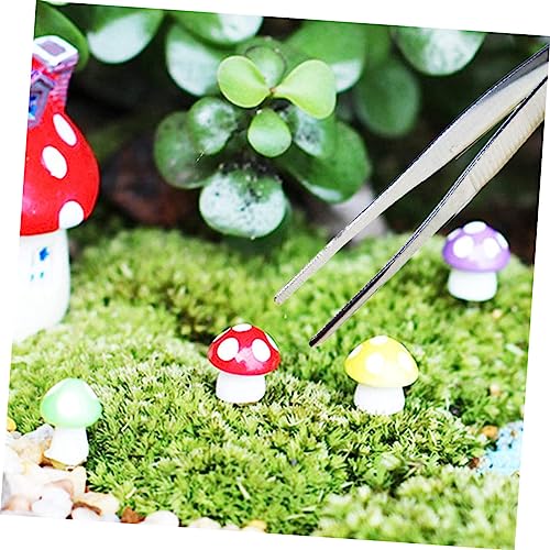 6pcs Succulent Bonsai Cactus Tweezer Curved Reptile Accessories Grass Garden Reptile Feeding Aquascaping Tools Pliers Tool Flowerpot Stainless Steel Clip