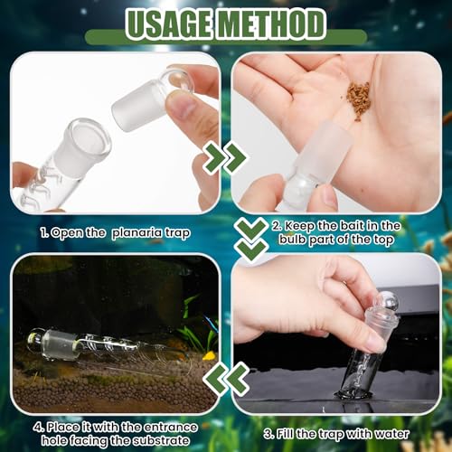 Qualirey 4 Pack Planaria Catch Trap for Aquarium Snail Leech Clear Glass Planaria Trap for Dwarf Shrimp Red Cherry Shrimp Tank(5 Holes) - style: 5 Holes