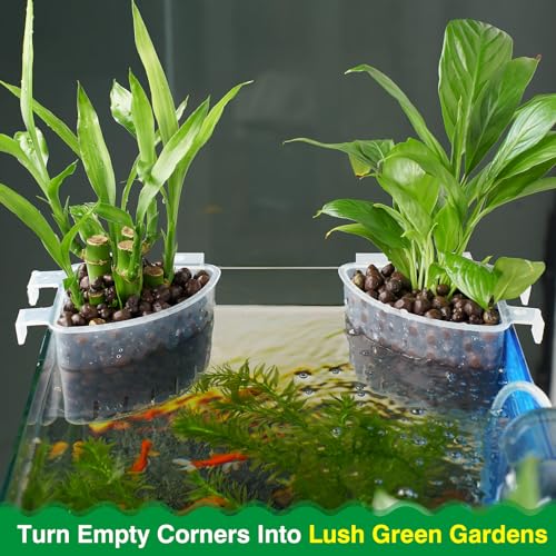 Borlech 2026 Latest Model Large Aquarium Corner Planter Hanging Plant Holder for Fish Tank Aquaponic Plant Cultivation and Aquascape Accessories Decorations (2 Pack) Transparent - color: Transparent-2 Pack