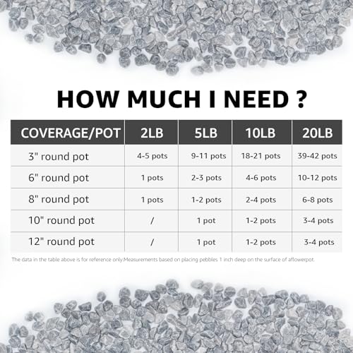 5lbs Natural Gravel Pebbles for Succulents and Cacti, 1/5 Inch Decorative River Stones – Perfect for Vases, Aquariums, Terrariums, and Outdoor Gardening, Mixed Colors (Grey, 5 Pounds) - color: Grey, size: 5 Pounds