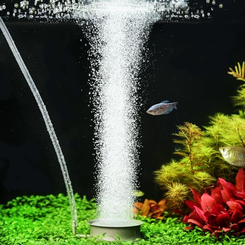 hygger Aquarium Air Stone Nano Bubble Stone Quiet Ultra High Dissolved Oxygen Diffuser Kit Stainless Steel Fish Tank Bubbler Nano Oxygen Air Stone for Aquarium Fish Tank and Hydroponics-2.2inch - size: 2.2inch