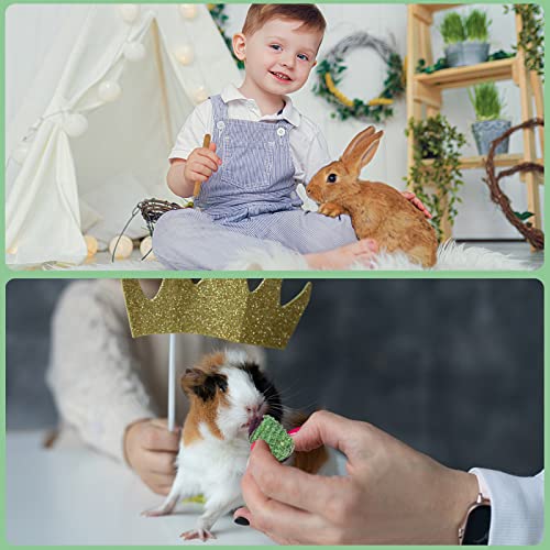 VESPRO Rabbit Toys for Bunnies Rabbit Chew Toys for Teeth Bunny for Rabbits Guinea Pig Chew Treats Toys,Timothy Hay Sticks for Chinchillas Hamsters Bunny Guinea Pig Rats and Animals Teeth Care - size: 0.11 Ounce (Pack of 23)