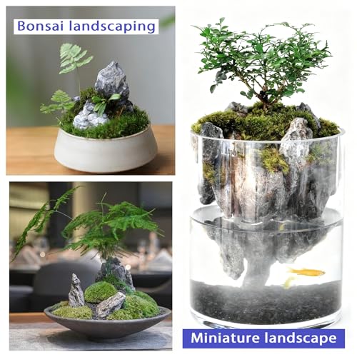 Natural Seiryu Stones Dragon Rocks 10lb Natural Aquascaping Stones for Aquarium Landscaping Fish Tank Decoration and Reptile Terrarium Décor-2-7 Inches - size: 10lb(2-7in)