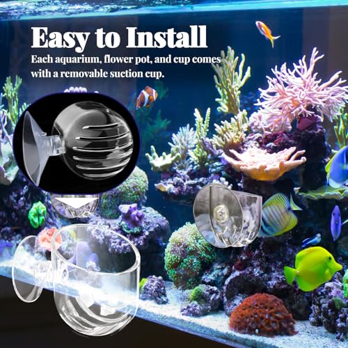 5 Pieces Clear Aquarium Plant Holder with Suction Cup, Acrylic Aquatic Fish Tank Plant Holder Pot, Transparent Hanging Aquarium Planter Cup Fish Shrimp Feeder for Aquascape Decoration