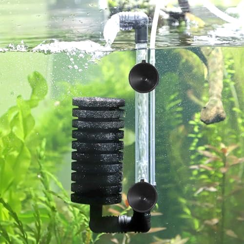 24PCS Fish Tank Suction Cups, Rubber Aquarium Suction Cups, 32mm Suction Cups for Aquarium, for Pump, Airline Tubing, Aeration Setup, Secure Attachment for Aquarium Accessories, Black