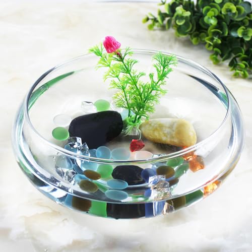 Transparent Acrylic Aquarium .52X9.52X3.93In Desktop Betta Fish Bowl with Clear Design for Home Office Decor and Aquatic Plant Display