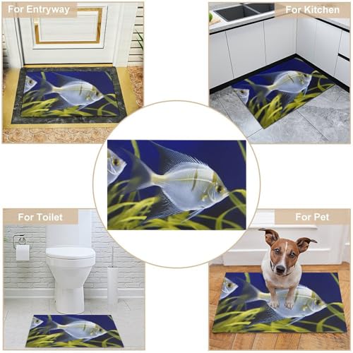 Outdoor Door Mat 15.7" X 23.6" Non-Slip Doormat Aquarium Angelfish Front Door Mats Quick Dry Welcome Mats for Outdoor Indoor Entrance Mat Home Decor Floor Mats for Patio - color: Aquarium Angelfish