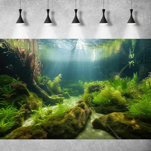 Underwater Aquarium Background Underwater Aquatic Plants with Sunbeams Fish Tank Background Rock with Lush Moss Terrarium Background Aquarium Backdrop For Tank Decorations Poster Vinyl 36x18in - color: Moss Green, size: 36(W)x18(H)in