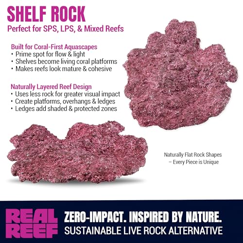 Shelf Rock, Mini 6–10" (15-Pack, 20 lb Box) - Artificial Live Rock for Saltwater Aquariums, Reef-Safe Nano Shelf Pieces for Coral Platforms & Aquascapes