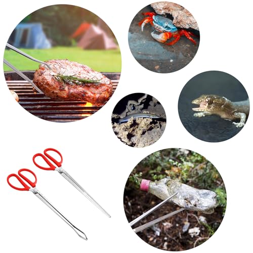 2PCS Reptile Feeding Tongs, Extended Stainless Steel Snake Feeding Tongs, Straight and Curved Feeding Tong, can be used for Snakes, Reptiles, Bathtubs, Aquarium Terrarium Supplies（15 "）