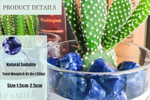 DUQGUHO Blue Sodalite Natural Healing Crystals Stones Set Polished Tumbled Irregular Pebble Stones Rocks 0.45 lbs - color: 08 Blue Sodalite