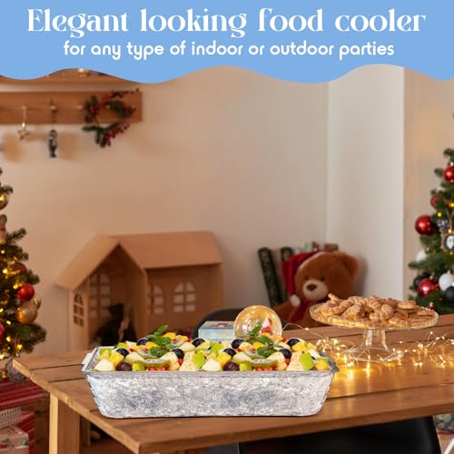 Baderke 2 Set 16" x 9" Plastic Chilled Serving Tray for Parties with Compartments Ice Chilled Party Platter Charcuterie Serving Board Cold Dish Dip for Fruit Seafood Vegetable Appetizer (Clear) - color: Clear
