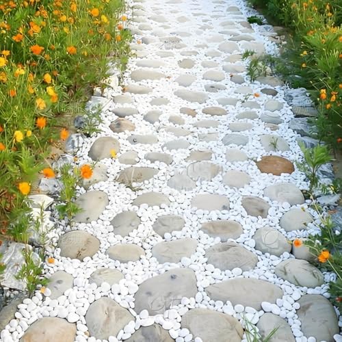 3/8 Inch Polished Decorative Pebbles, River Rocks for Indoor Plants, Succulents, Planters, Vases, Fish Tank, Aquarium Gravel & Landscaping, Snow White, 6LB - color: White, size: 6LB