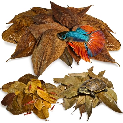 Indian Almond Leaves for Betta Fish,20Pcs Catappa,60Pcs Longan & 0.7oz Oak Leaves,Aquarium Water Conditioner Leaf,pH Balancing Water Conditioner Leaf for Betta Fish,Shrimp,Frogs,Axolotl Tanks