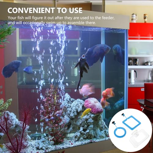 KESYOO 3pcs Fish Feeding Rings with Suction Cup Fish Tank Feeding Tool for Aquarium with Blue Round Blue Square and Frame Shapes for Home Aquarium Use