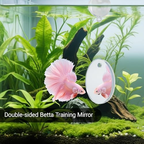 Betta Fish Toy Set: Betta Training Floating Mirror, Training/Feeding Ring, Spoon, and Resting Leaf. Promotes Exercise. Betta Toys, Resting & Feeding Kit. - color: Blue