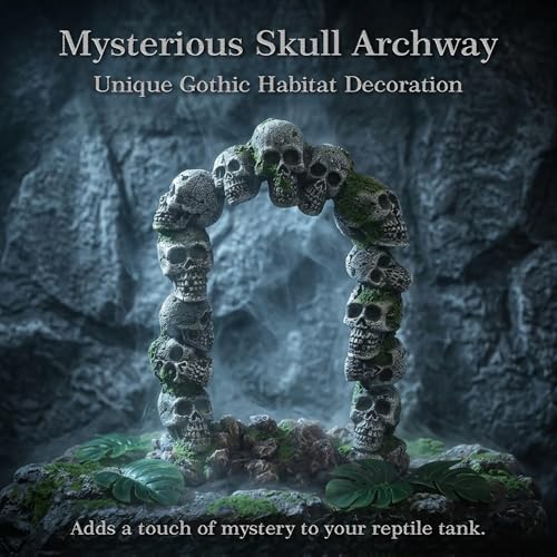 relaqcc Aquarium Skull Cave Rocks, Reptile Tank Accessories, Fish Tank Decorations for Amphibians, Betta Fish, Shrimp, Hermit Crab, Leopard Gecko - style: Type-E