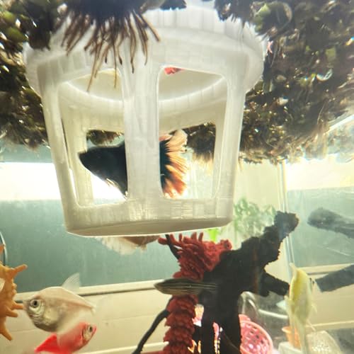 HOZOE Aquarium Betta Hammock, Betta Hideout & Cave, Floating Feeding Ring for Fish and Shrimp, Aquarium Floating Decoration Accessory (Translucent Color) - color: Translucent color
